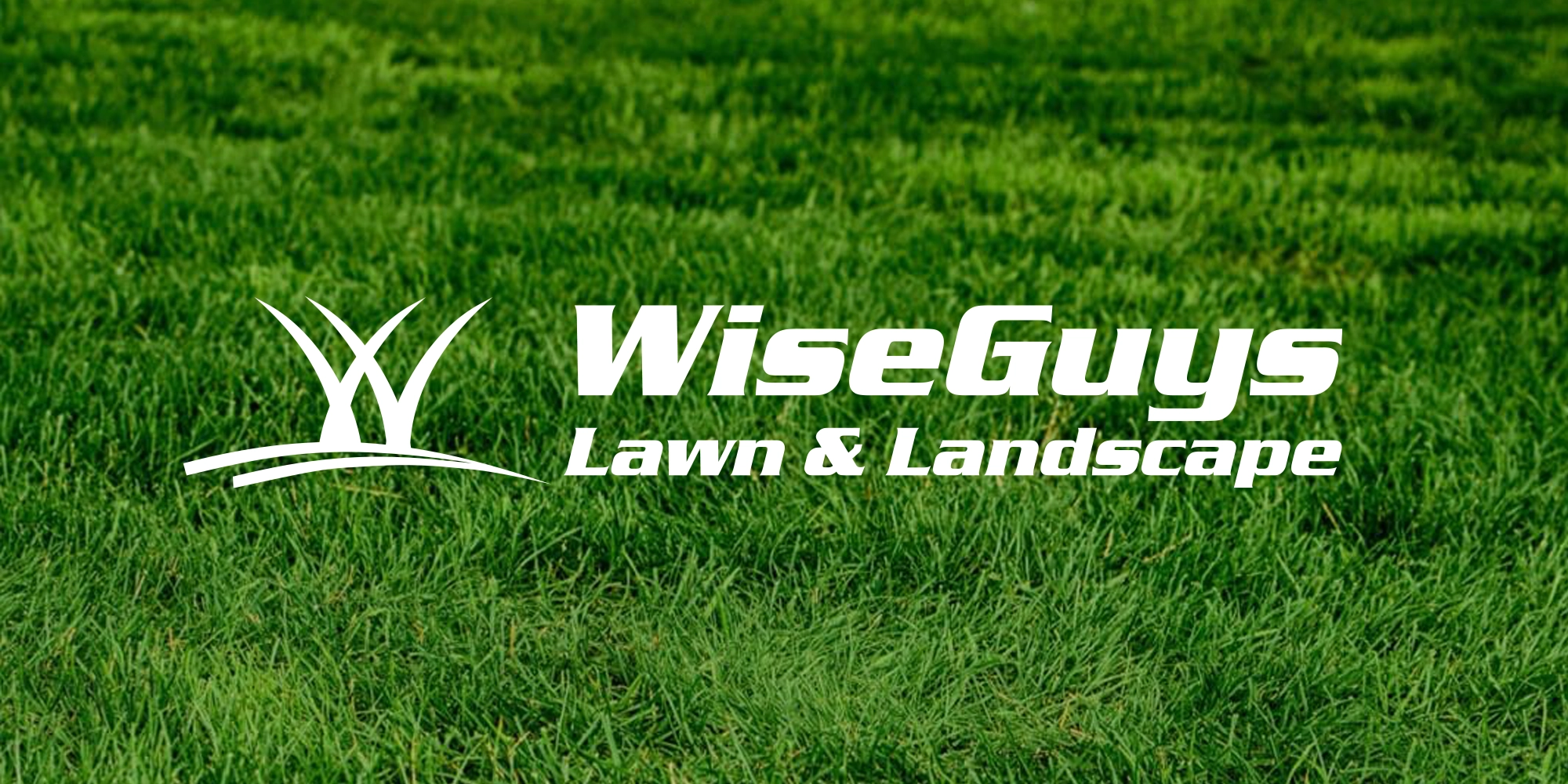 Wise Guys Lawn and Landscape Toledo, OH